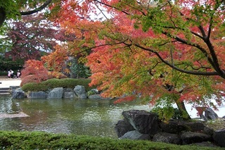 赤く色づいた紅葉と池