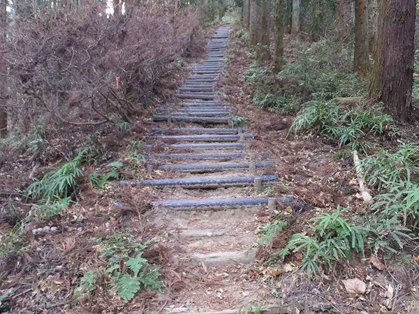 山頂へ一直線に続く階段