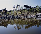 桜山公園