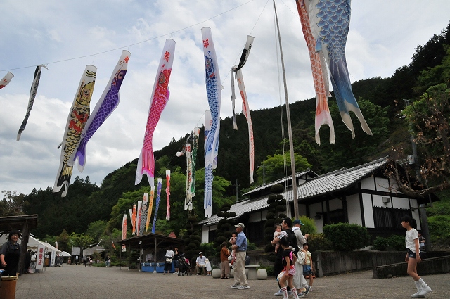 公園内にあがる鯉のぼりと人たち