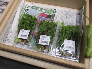 販売されている山菜