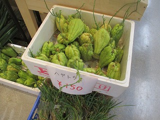 販売されている野菜