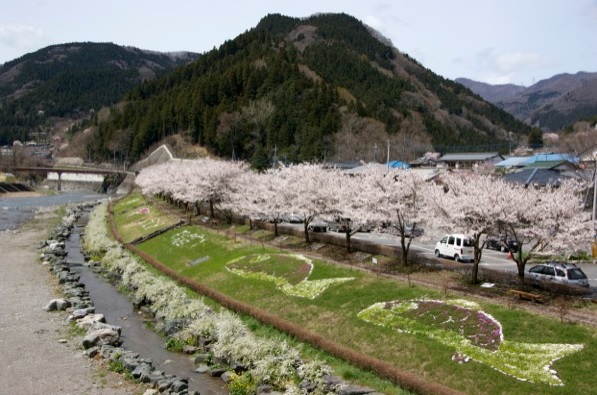 桜と花の咲く神流川の河川敷