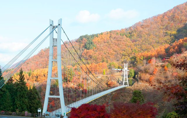 紅葉と上野スカイブリッジ