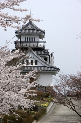 牛伏山自然公園の桜