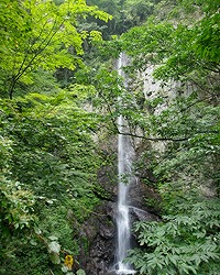 上野村の滝