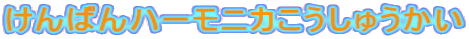 ����΂�n�[���j�J�������イ����